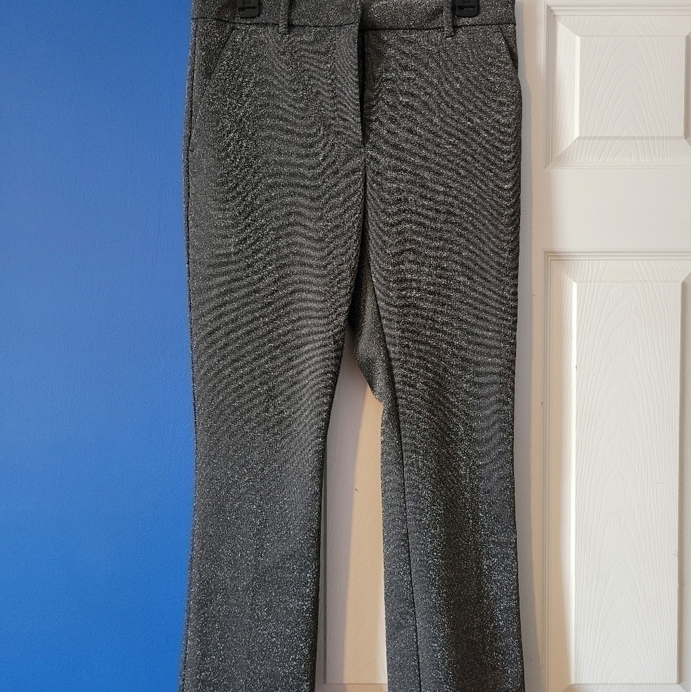 Sparkly Dress Pants